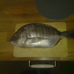 Rybička Kanic, neboli Sea bass - kuchání pro začátečníky