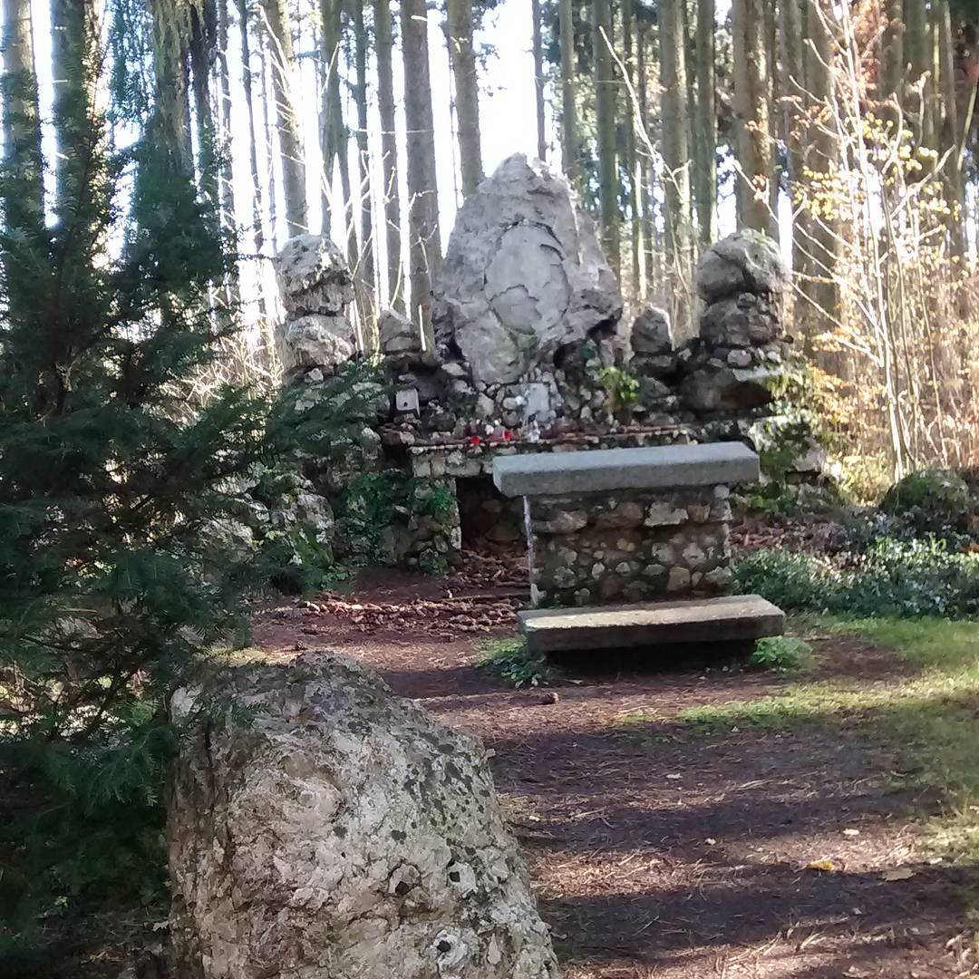 Fotka od Verunky. Lesní památník ve Frantovkách..nedêlní idylka