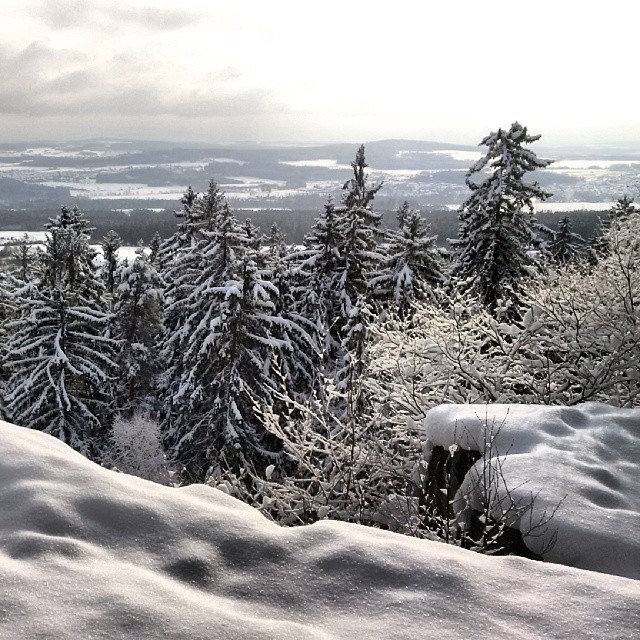 Fotka od Ferdika. Good morning from #Brdy, day 2. Enjoying fresh snow with @verunkavalent. 17/366. #tremosna, #trail, #snowtrail