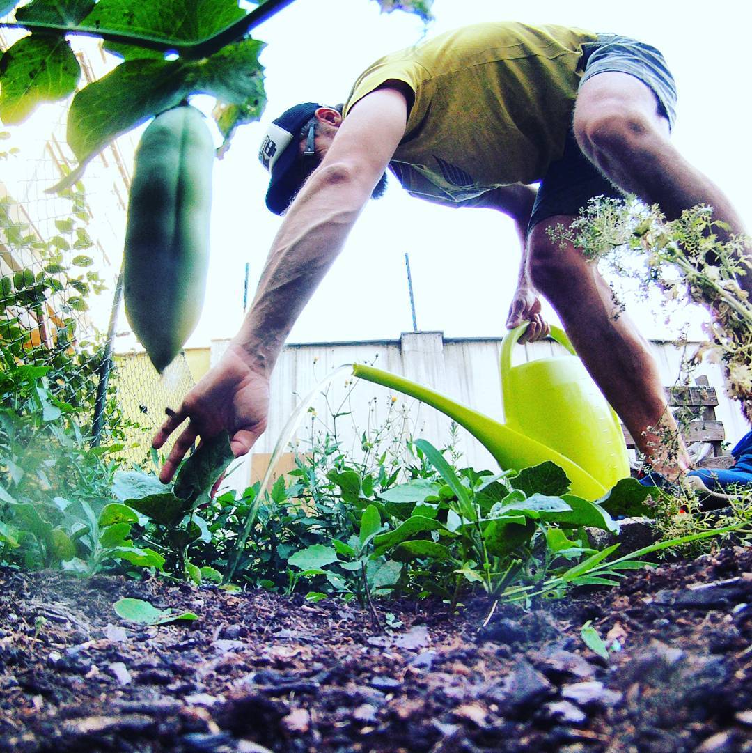 Fotka od Ferdika. 176/366: Mr. #Gardener in action:-) There will be #harvest soon. #holesovice, #praha7, #urbangardering, #gardering, #garden, #gopro, #goprohero, #bestoftheday, #picoftheday