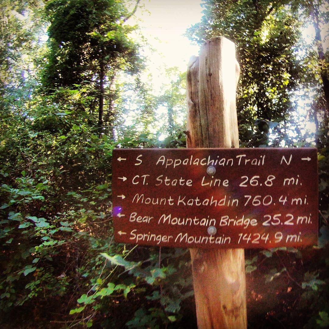 Fotka od Ferdika. 243/366: Yes! Yes! Legendary #appalachiantrail! We did 40k of this 3500k long trail. What a experience. This part we hiked is not steep at all but very very technical, so we have spent almost 11 hours on the way. #hike, #hiking, #trail, #track, #appalaciantrail, #gopro, #goprohero, #bestoftheday, #topoftheday, #photooftheday