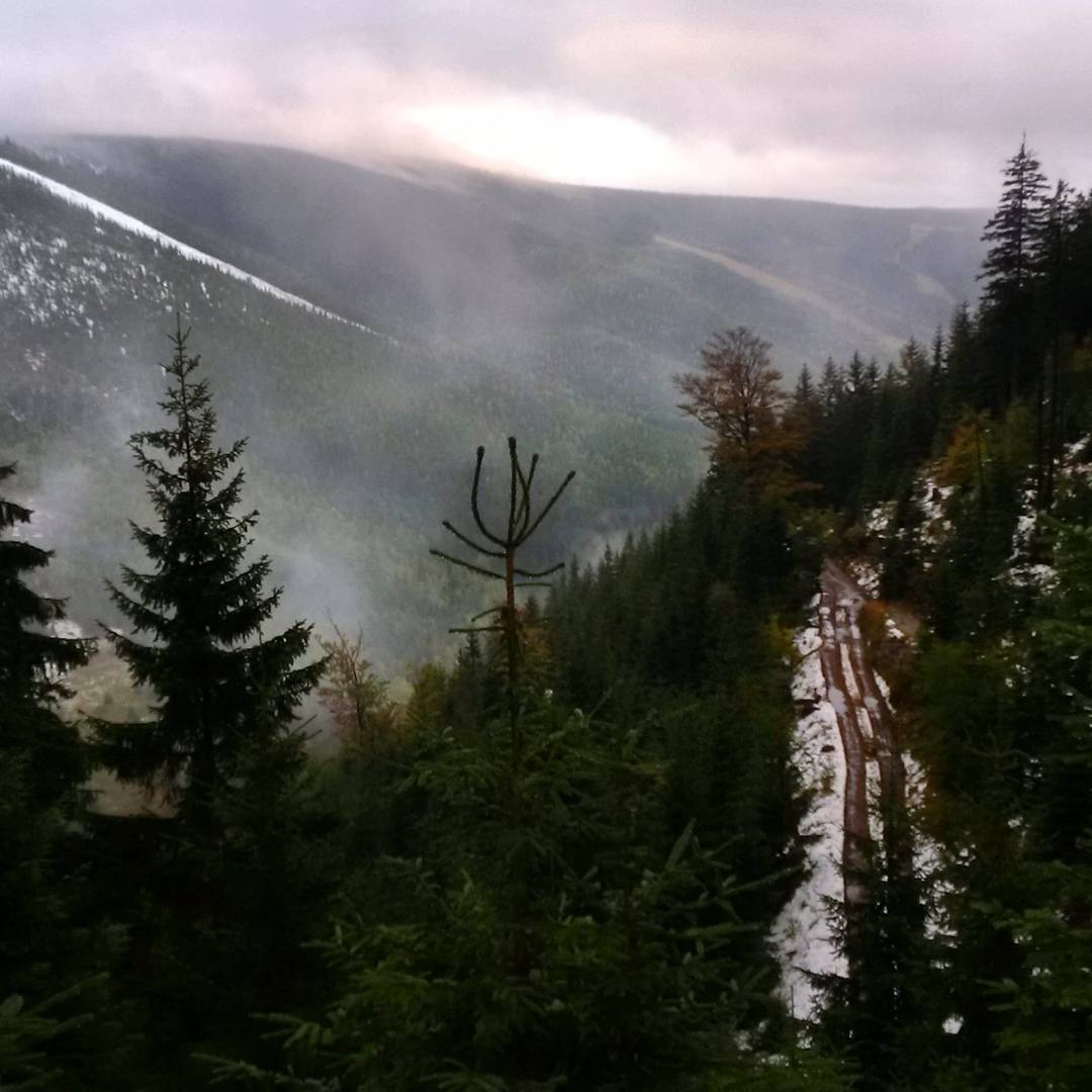 Fotka od Ferdika. 283/366: Good morning from #Krakonos #peak in #Kozihrbety area. #Raining down in #Spindl, heavy #snowing around 1200m, fog and quiet on the peak. And couple of sun rays on the way back down. #run, #morningrun, #trail, #mountains, #forrest, #nature, #wakeup, #bestoftheday, #topoftheday, #photooftheday