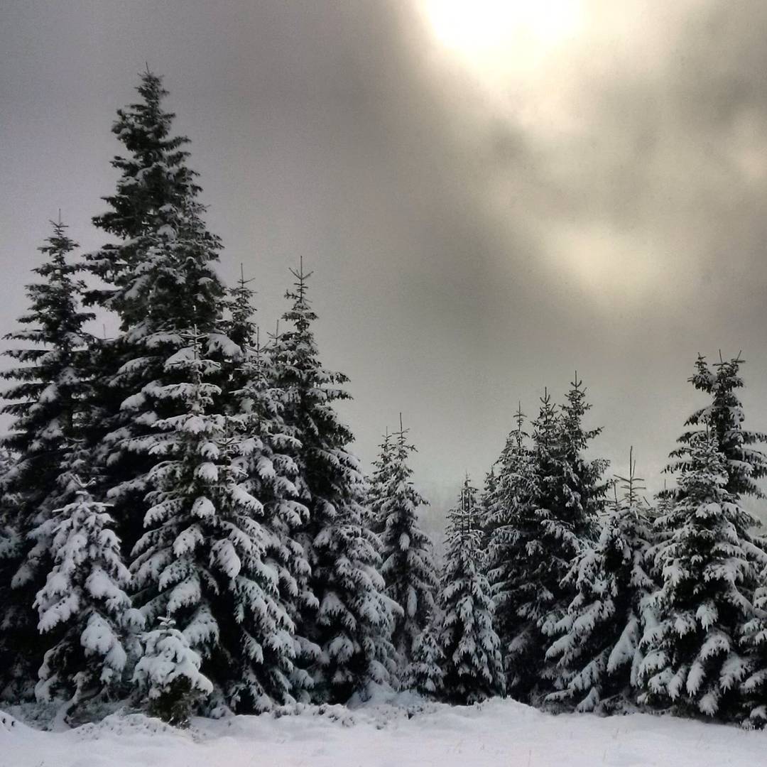 Fotka od Ferdika. 317/366: Mystic #sky & #colours over the #Krkonose #mountains today. #trail, #hike, #forrest, #snow, #clouds, #fog, #spindleruvmlyn, #stoh, #bestoftheday, #photooftheday, #picofday