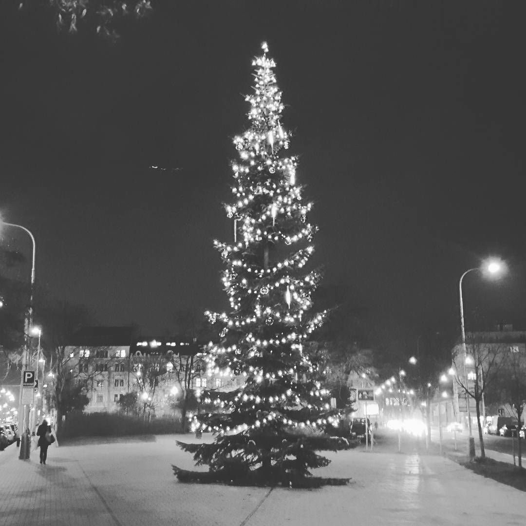 Fotka od Ferdika. 355/366: #Santaclaus is coming to town sometime soon. #tree, #christmastree, #prague, #praguechristmas, #xmas, #holesovice, #lights, #topoftheday, #picoftheday, #photooftheday