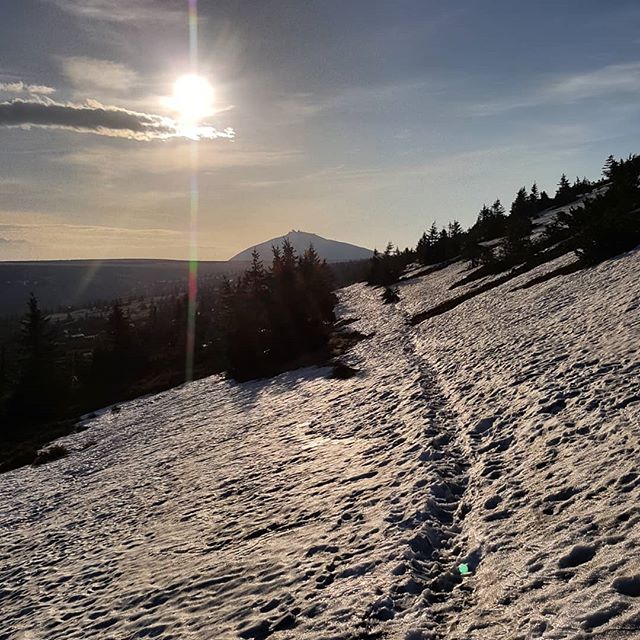Fotka od Ferdika. #morningrun from #spindleruvmlyn to #lucnibouda & back to catch the breakfast. #run, #trailrunning, #trail, #fellrunning, #mountains, #krkonose, #sun, #snow, #nature, #snezka
